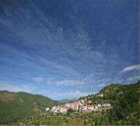 أفضل العروض ل  بارادو